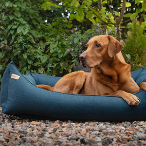 labrador dog sitting in earthbound rectangular dog bed breton blue
