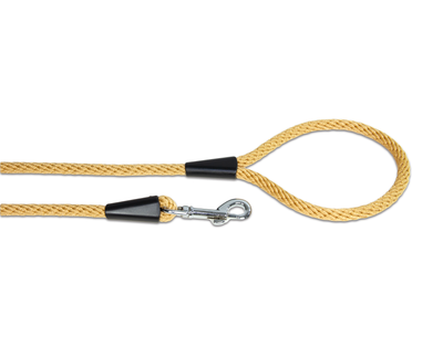 Close up of beige rope dog lead in medium