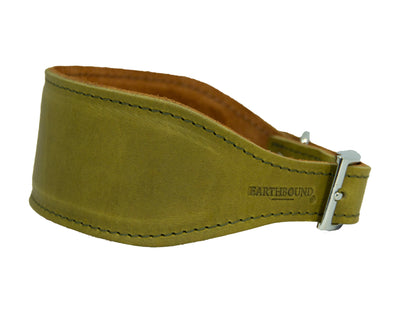 Leather whippet dog collar green