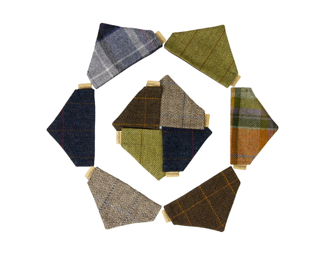 Tweed dog bandana