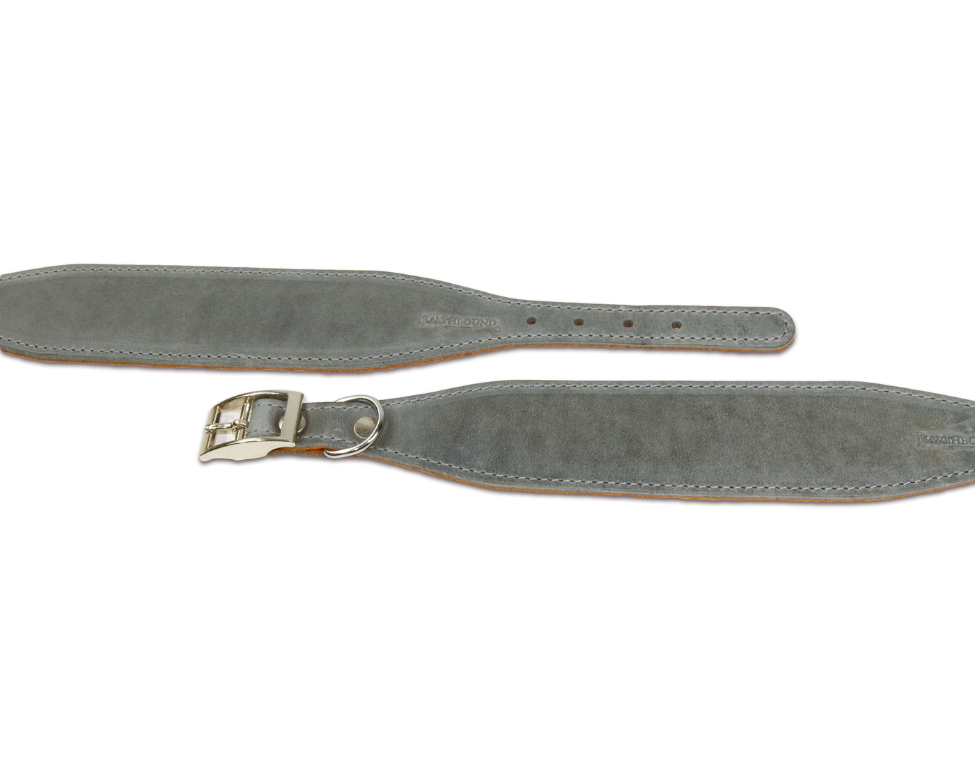 close up of grey leather whippet dog collar