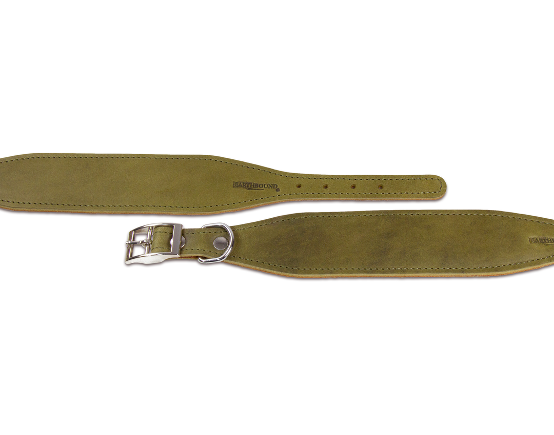 Leather Whippet Collar Green