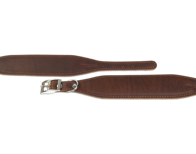 close up of brown leather whippet dog collar