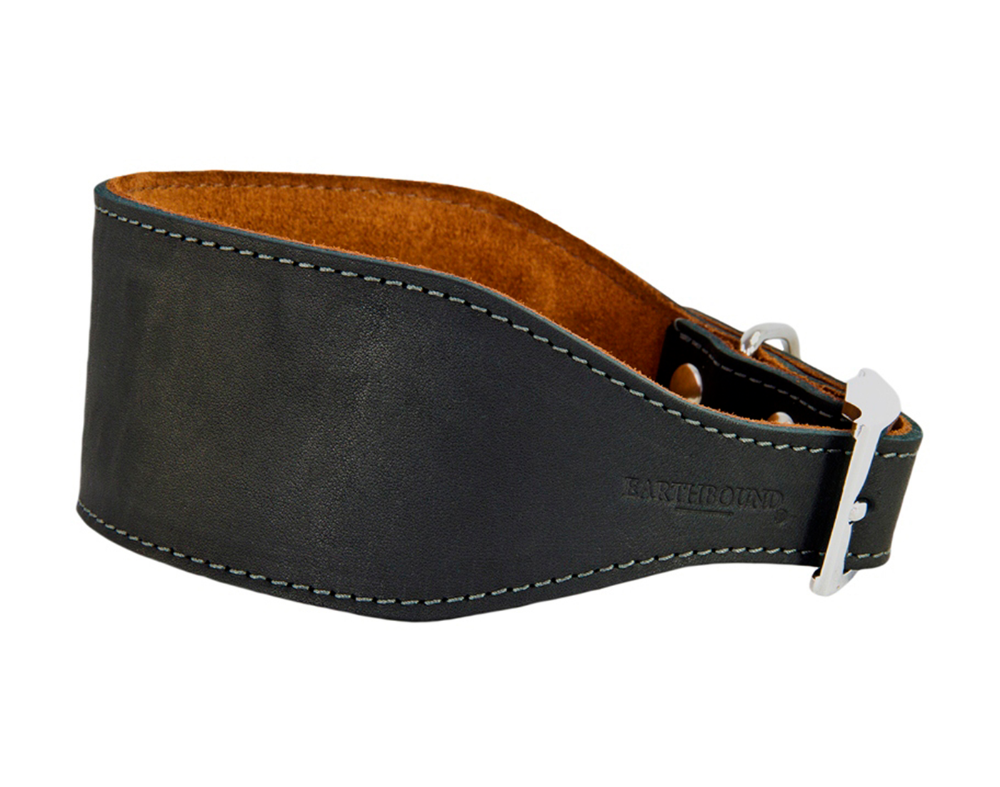 black leather whippet dog collar