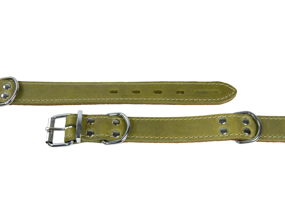 Close up of green ox leather dog collar