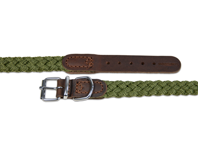 Close up of green braided nylon leather dog collar