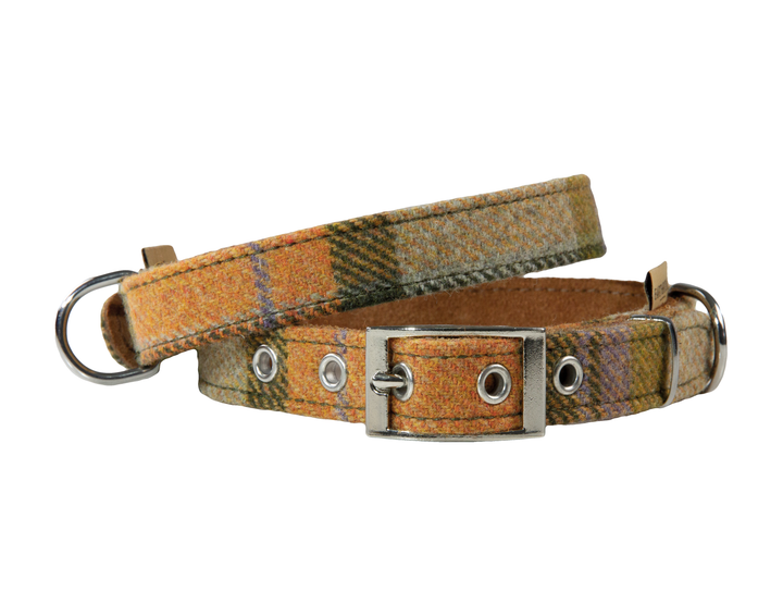 orange check tweed dog collar