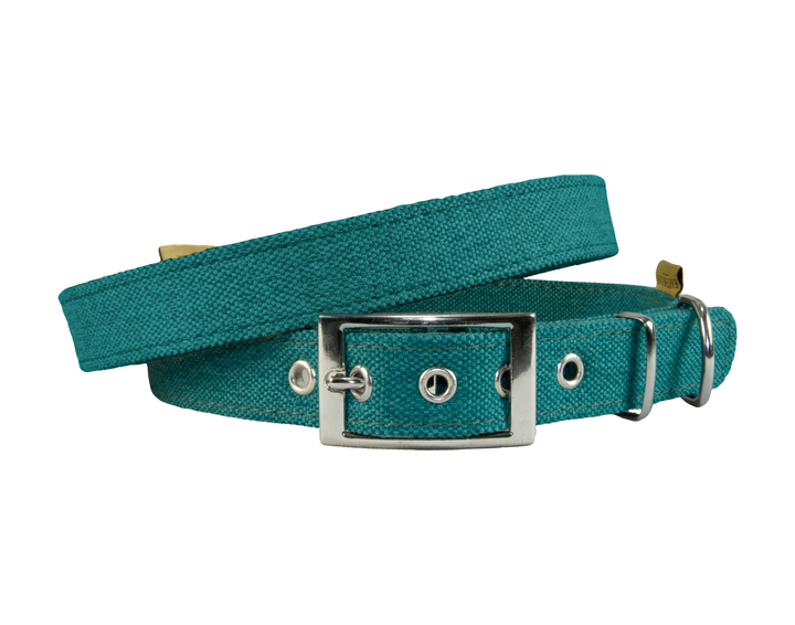 Camden Collar Teal
