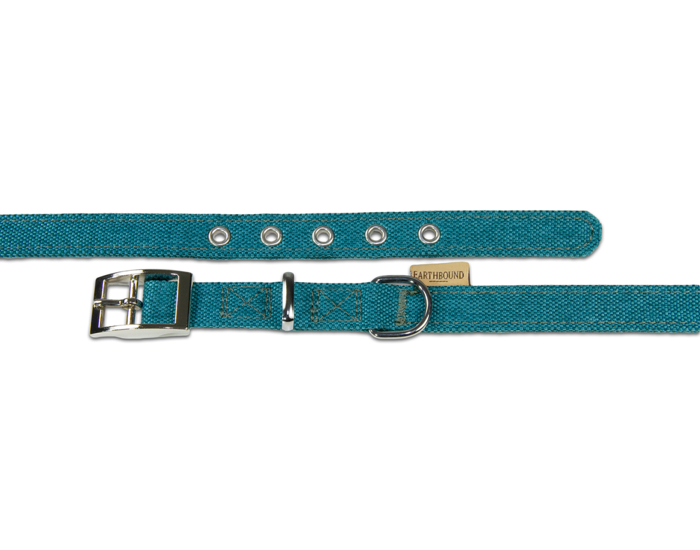 Close up of camden teal dog collar