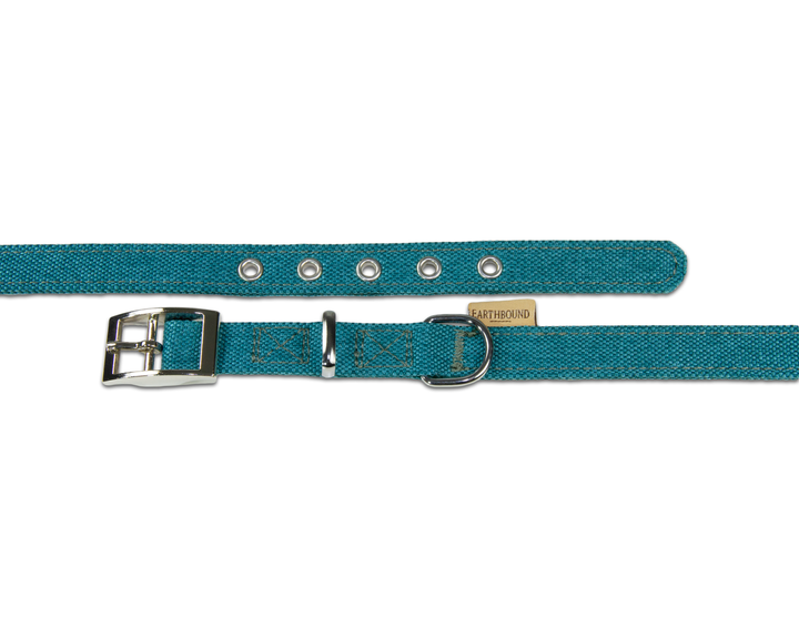 Close up of camden teal dog collar
