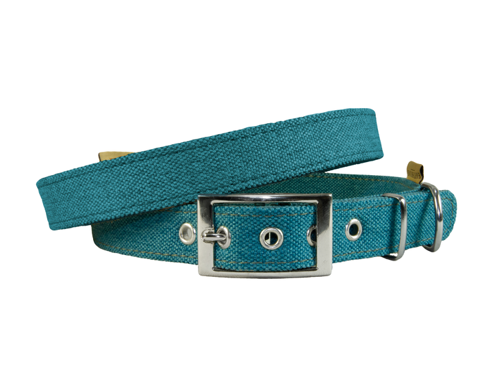 Camden Collar Teal
