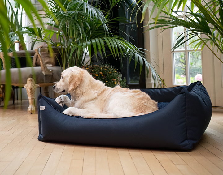 Rectangular Removable Waterproof Bed Midnight Blue