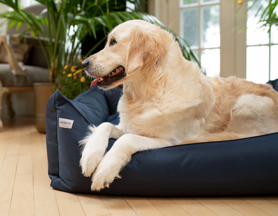 Rectangular Removable Waterproof Bed Midnight Blue
