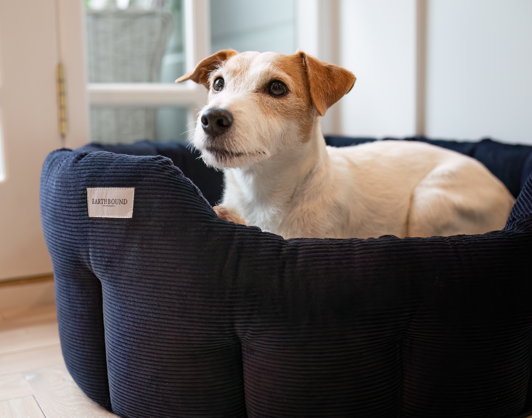 *Limited Edition* Round Chester Bed Oxford Blue