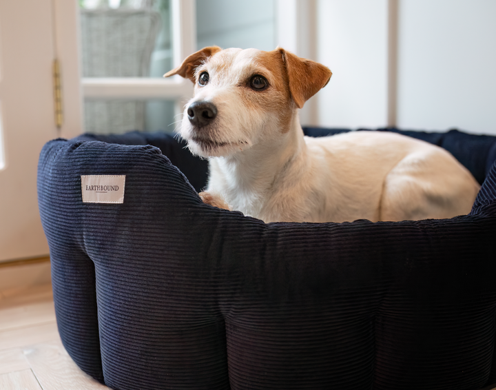 *Limited Edition* Round Chester Bed Oxford Blue