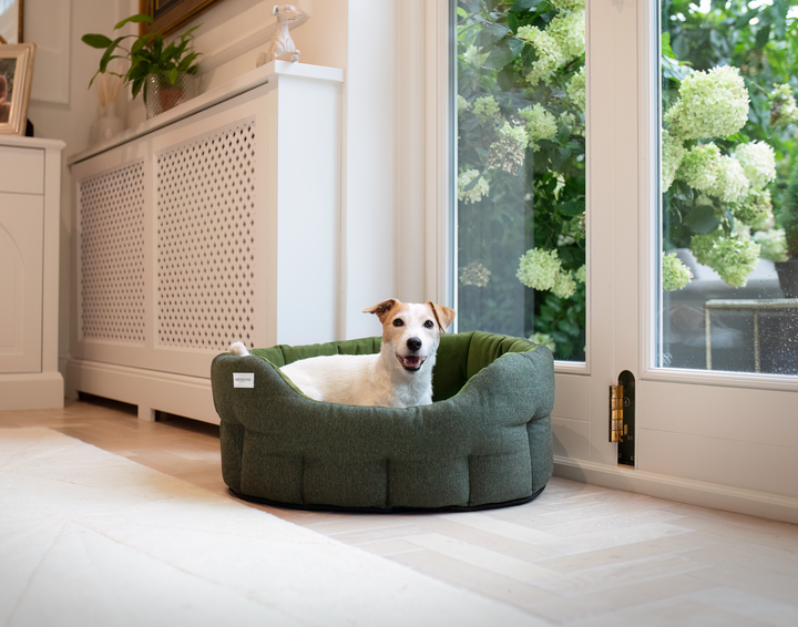 Round Modern Tweed Bed Pine Green