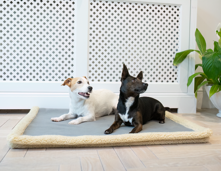 Sherpa Fleece Blanket Dove Grey