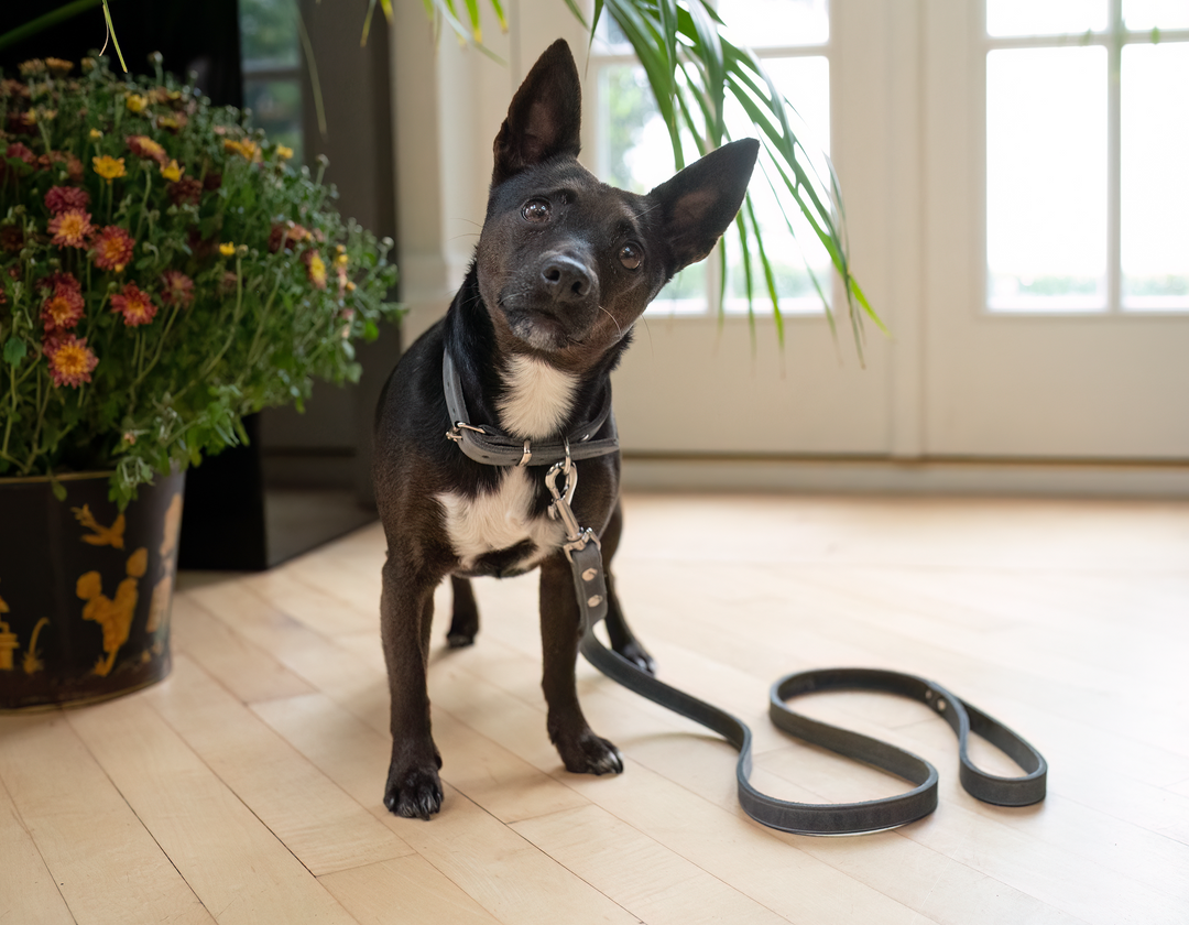 Soft Country Leather Lead Grey
