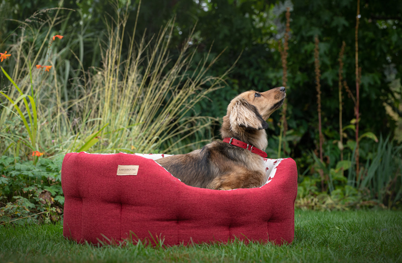 Round Brushed Dachshund Bed Red