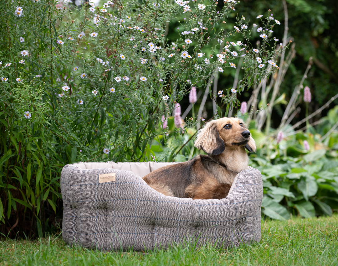 Classic Round Traditional Tweed and Waterproof Dog Bed Beige