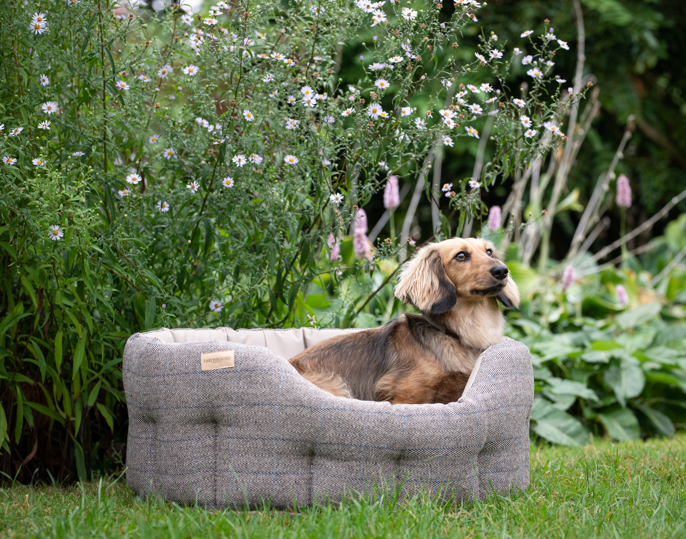 Traditional Tweed & Waterproof Bed Beige