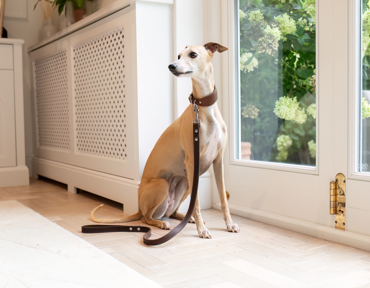 Leather Whippet Lead Brown
