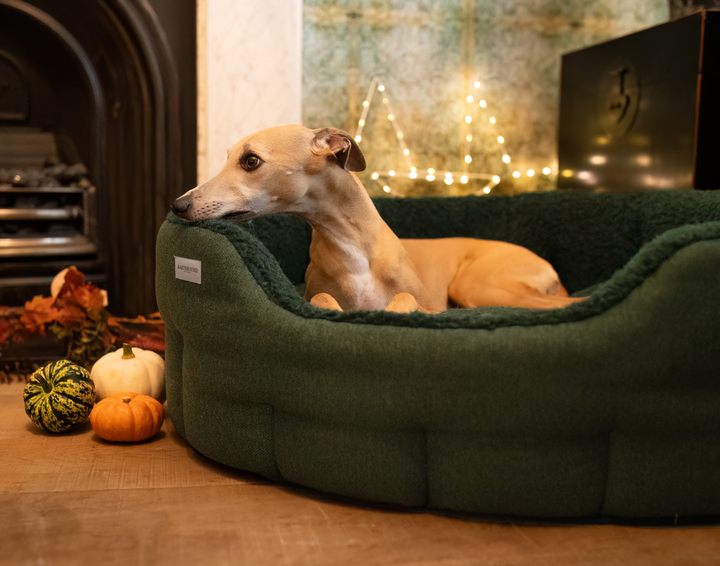 Round Modern Tweed Sherpa Bed Pine Green