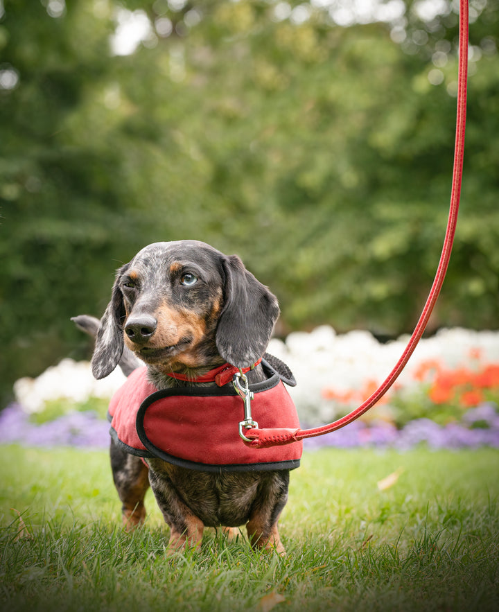 Rolled Leather Lead Red