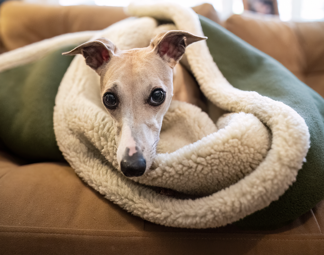 Sherpa Fleece Blanket Juniper Green