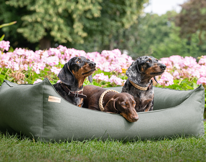 Rectangular Removable Eden Bed Laurel Green