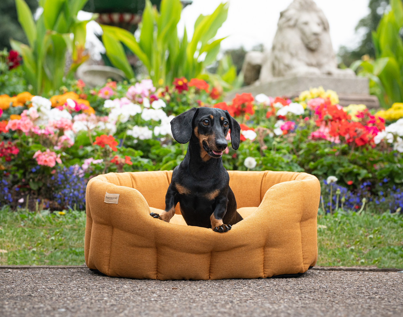 Round Camden Bed Apricot