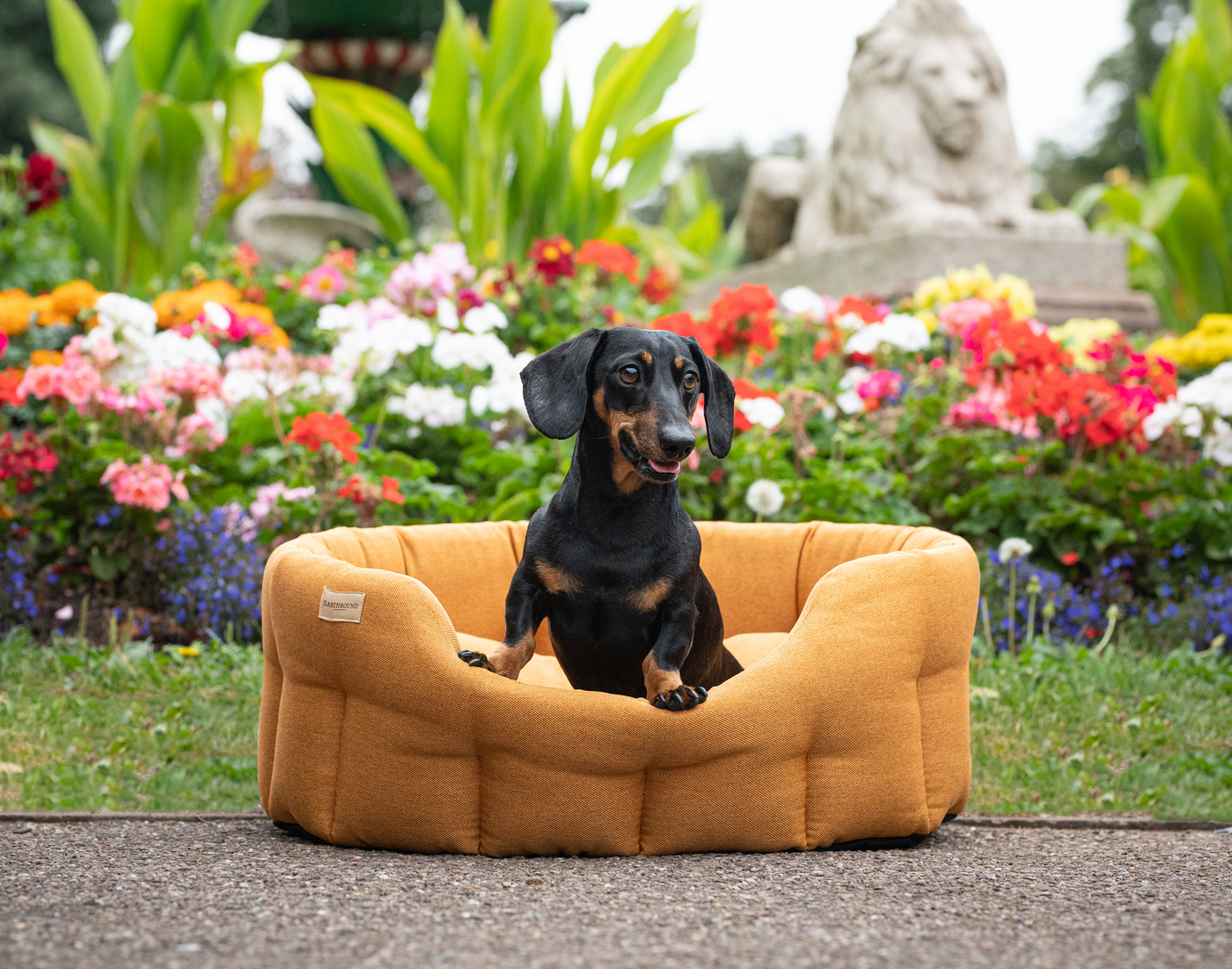 Classic Camden Bed Apricot