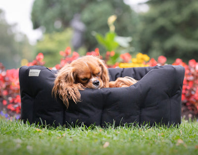 Round Waterproof Bed Black