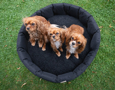 Round Waterproof Bed Black