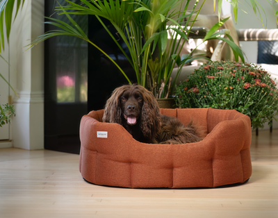 Round Camden Bed Burnt Orange