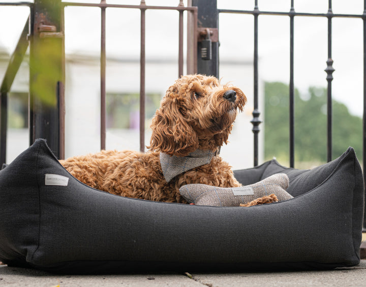Rectangular Removable Weaved Bed Charcoal
