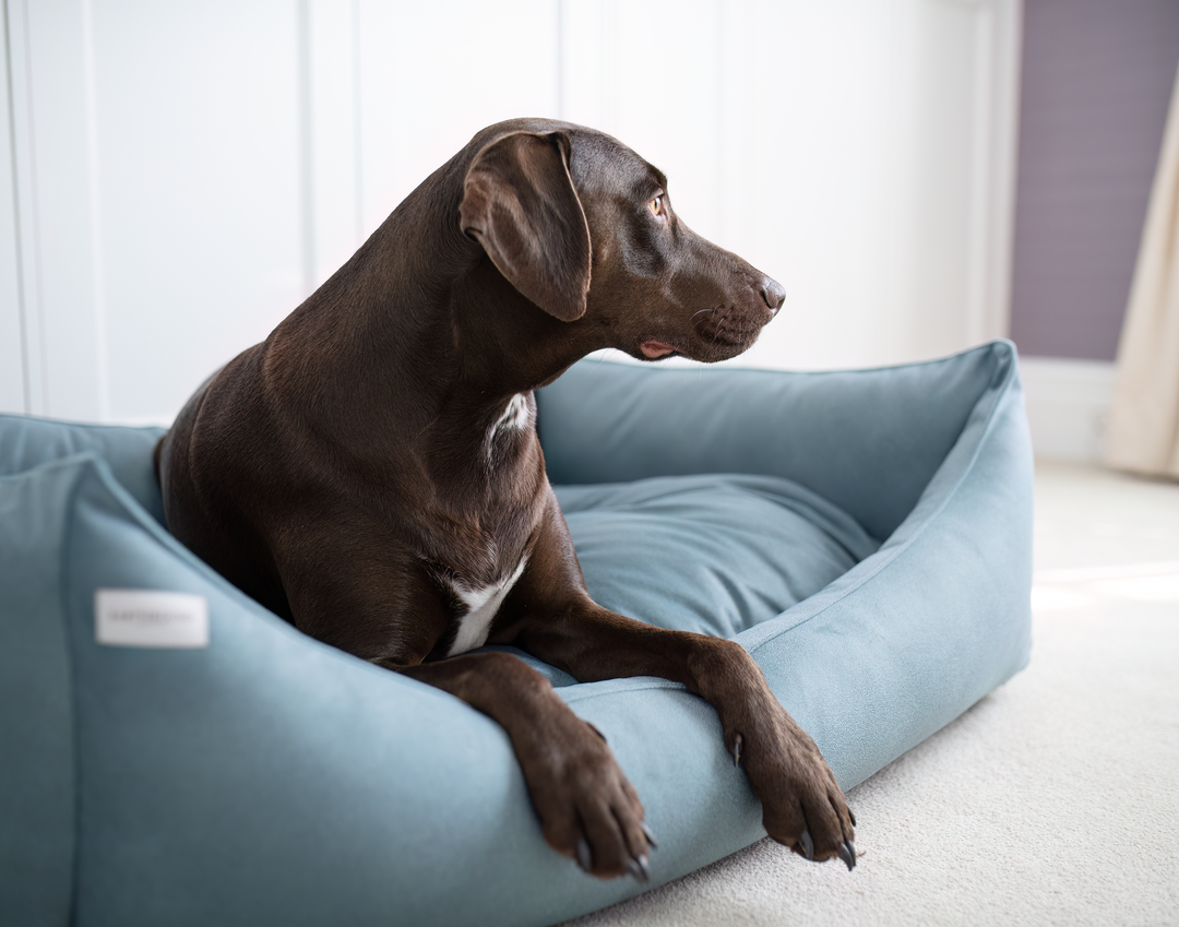 Rectangular Removable Windsor Bed Delphi Blue