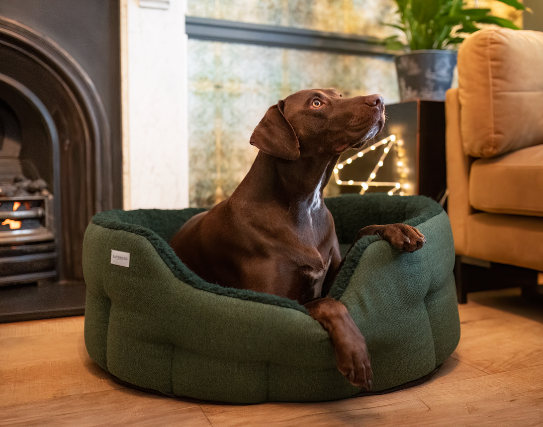 Round Modern Tweed Sherpa Bed Pine Green