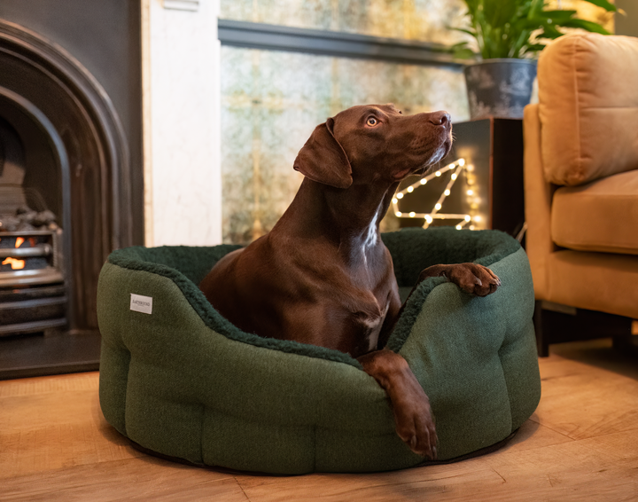 Round Modern Tweed Sherpa Bed Pine Green