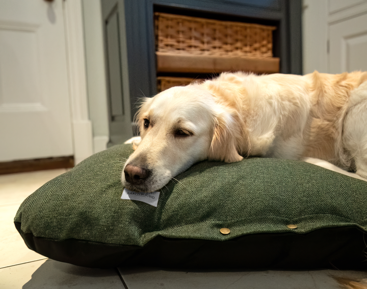 Flat Cushion Modern Tweed Pine Green