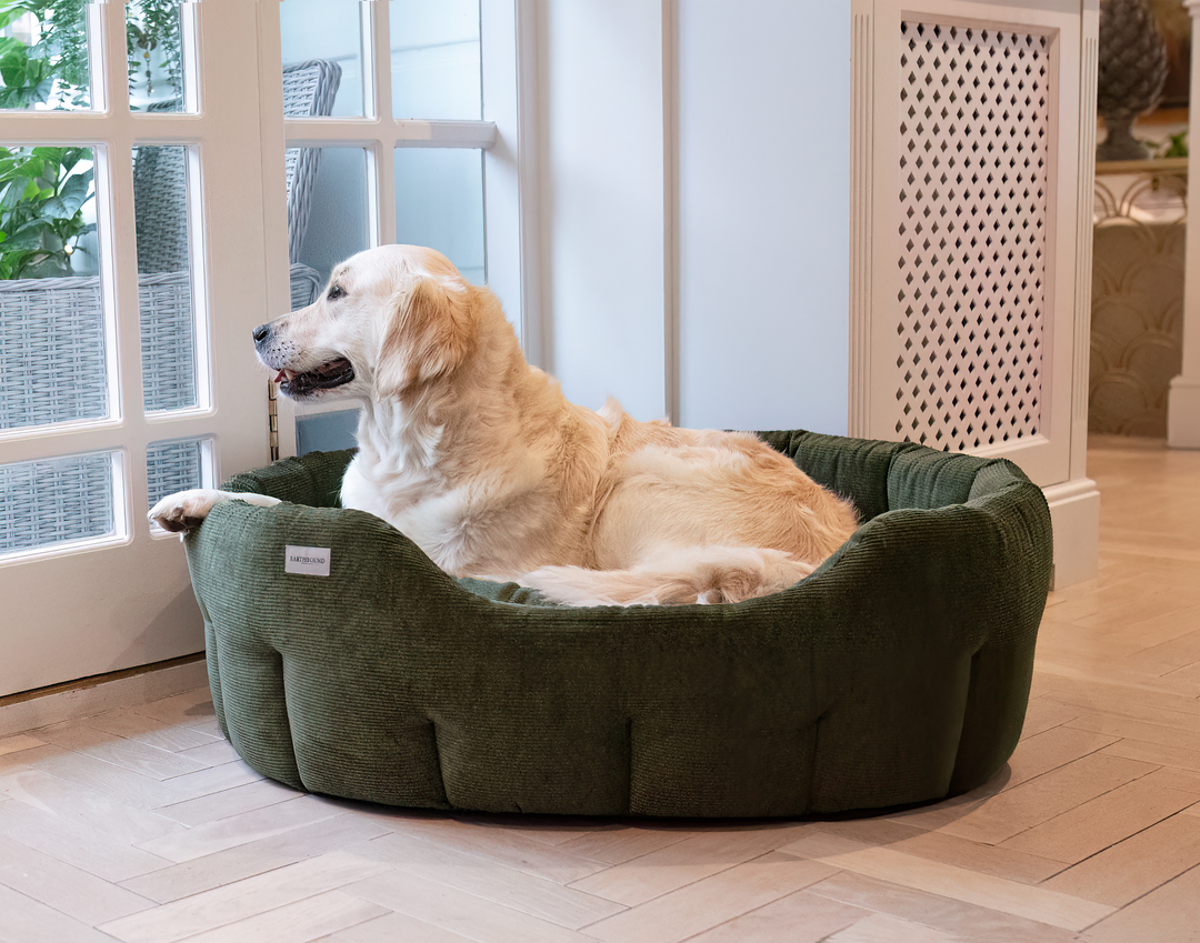 Classic Round Chester Dog Bed Fern Green – Earthbound UK