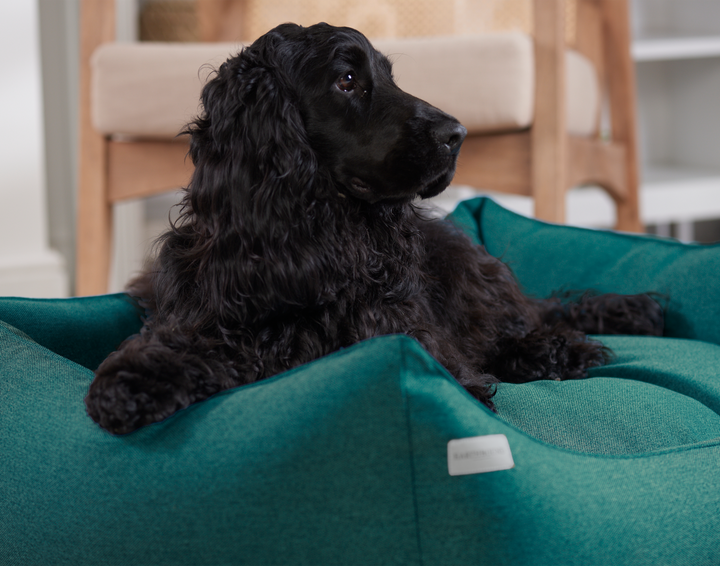 Rectangular Removable Camden Bed Teal