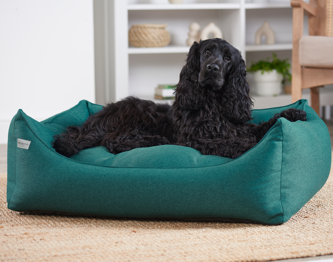 Rectangular Removable Camden Bed Teal