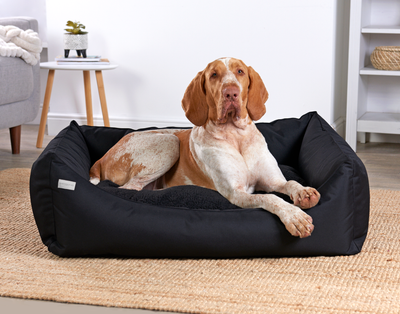 Rectangular Removable Waterproof Bed Black