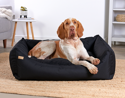 Rectangular Removable Waterproof Bed Black