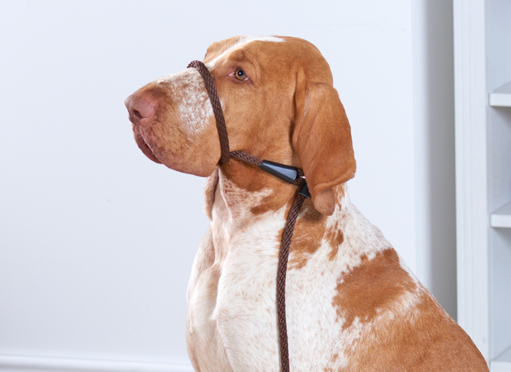 Rope Slip Lead Black