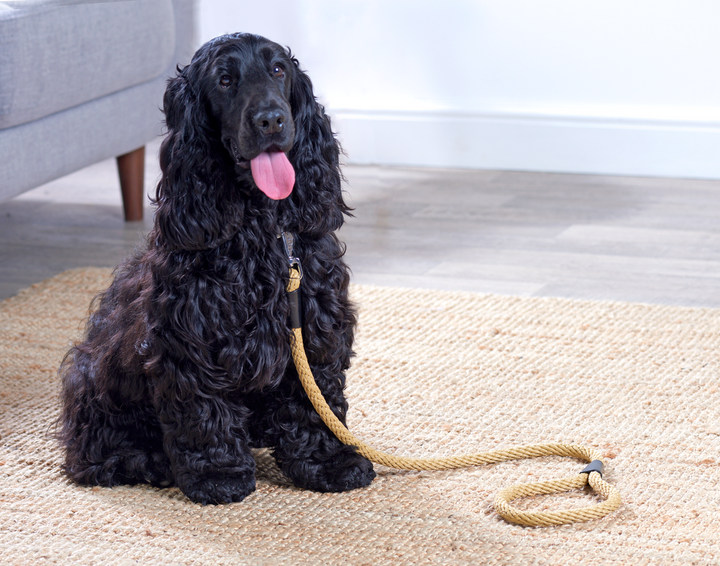 Rope Lead Beige