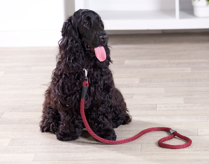 Rope Lead Burgundy
