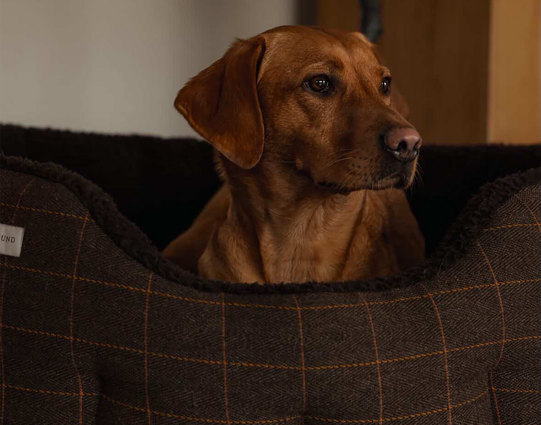 Round Traditional Tweed Bed Brown