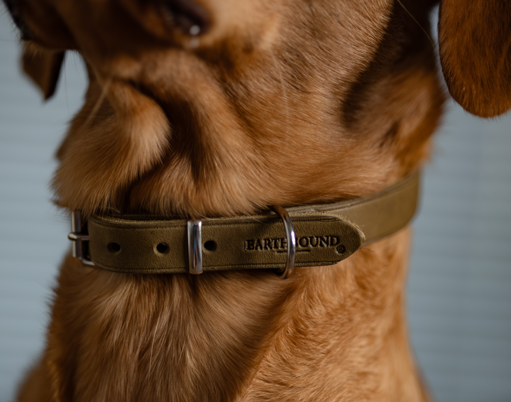 Soft Country Leather Collar Green